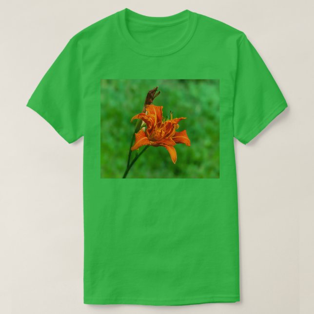 Camiseta Orange Daylily 1 (Frente do Design)