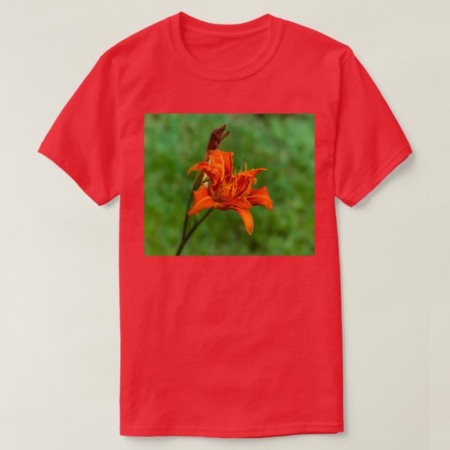 Camiseta Orange Daylily 2 (Frente do Design)