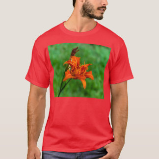 Camiseta Orange Daylily 2