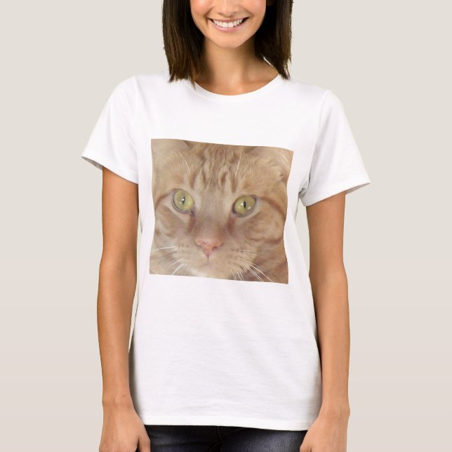 Camiseta Orange Tabby Cat (Frente)