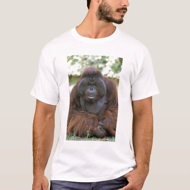 Camiseta Orangotango Pongo Pygmaeus (Frente)