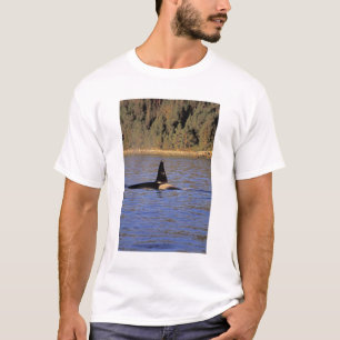 Camiseta Orca ou baleia Assassina.