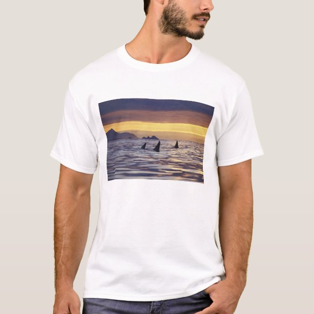 Camiseta Orca ou Baleias Assassinas (Frente)