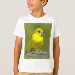 Camiseta Orchard Oriole - Fotografia original