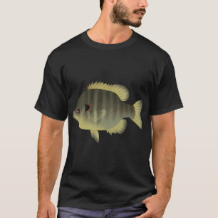 Camiseta Orelha-vermelha (L. microlophus)