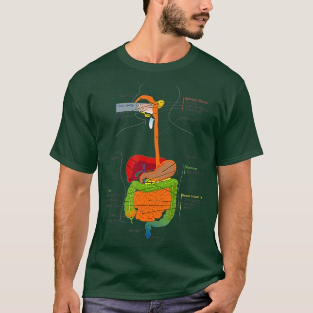 Camiseta Órgãos Digestivos Diagrama Médico (Frente)