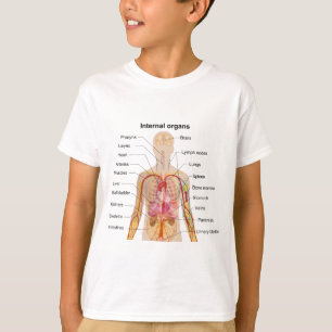 Camiseta Órgãos internos principais na carta do corpo