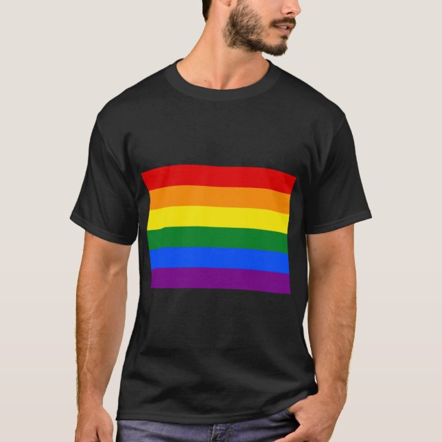 Camiseta Orgulho Arco-íris engraçado (Frente)