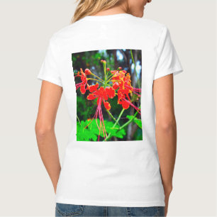 Camiseta Orgulho de Barbados