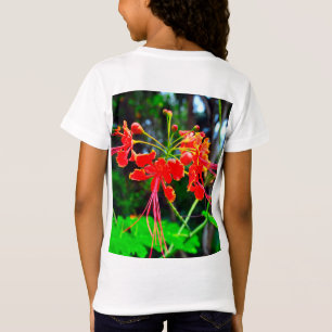 Camiseta Orgulho de Barbados