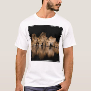 Camiseta Orgulho de Leões Bebe no Buraco de Água à Noite