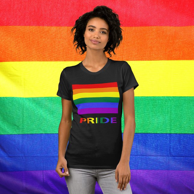 Camiseta Orgulho LGBT Arco-Íris Bandeira e Texto para Mulhe (LGBT Pride Rainbow Flag T-Shirt)