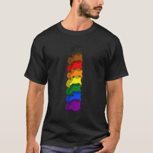 Camiseta Orgulho Lgbt Sapo De Bandeira Do Orgulho Filadélfi