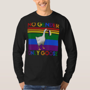 Camiseta Orgulho Lgbt Sem Sexo Apenas Sinalizador Lgbtq