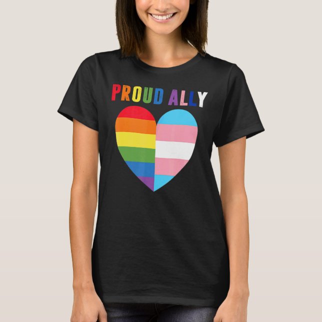 Camiseta Orgulho Orgulho Orgulho Lgbt Sinalizador Transgêne (Frente)