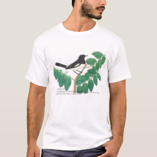 Camiseta Oriental Magpie-Robin