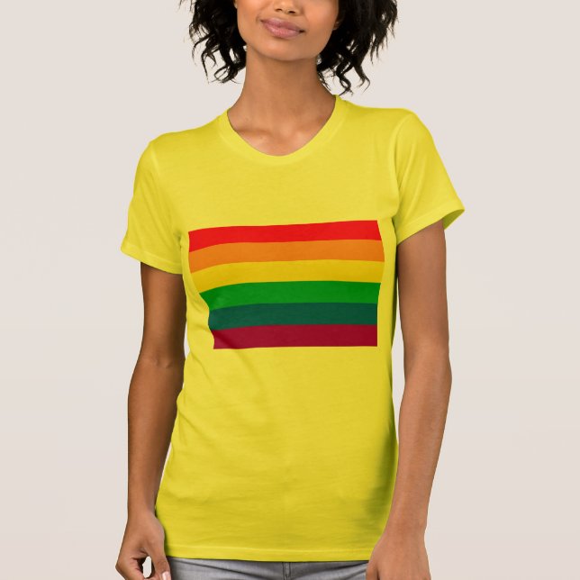 CAMISETA ORIGINAL ALEGRE DA BANDEIRA (Frente)