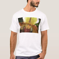Orquídea