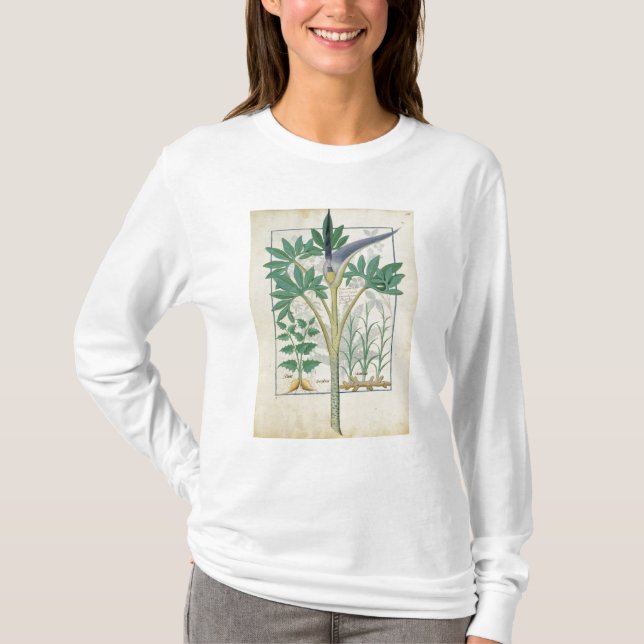 Camiseta Orquídea (Frente)