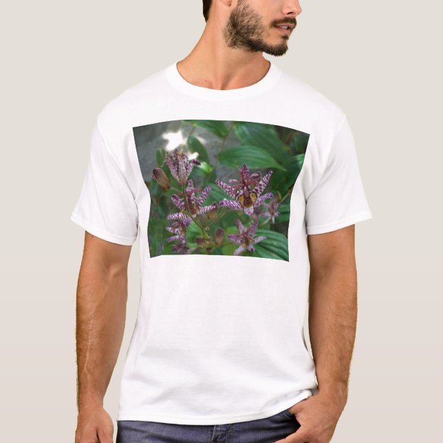 Camiseta Orquídea branca-rosa-púrpura, listrada, como uma f (Frente)