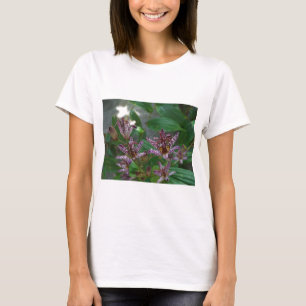 Camiseta Orquídea branca-rosa-púrpura, listrada, como uma f