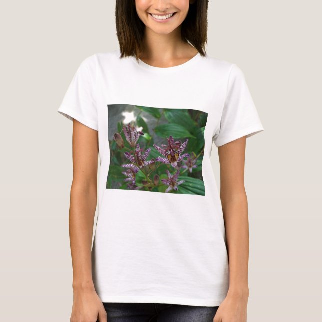 Camiseta Orquídea branca-rosa-púrpura, listrada, como uma f (Frente)