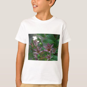 Camiseta Orquídea branca-rosa-púrpura, listrada, como uma f