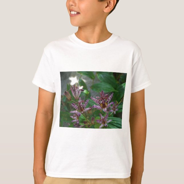 Camiseta Orquídea branca-rosa-púrpura, listrada, como uma f (Frente)