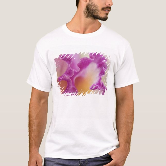 Camiseta Orquídea híbrida close-up, Delray Beach, Flórida (Frente)