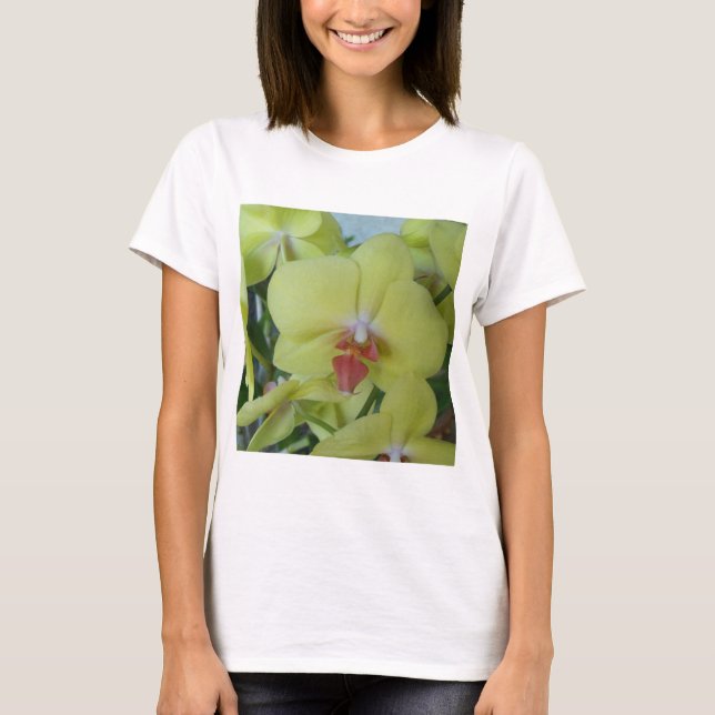 Camiseta Orquídeas amarelas (Frente)