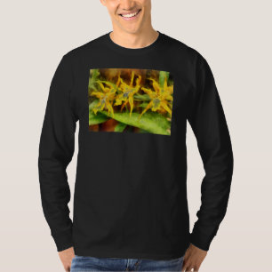 Camiseta Orquídeas Amarelas Miltassia