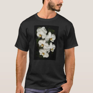 Camiseta Orquídeas da falaenopse branca