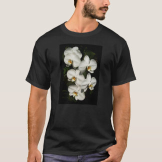 Camiseta Orquídeas da falaenopse branca