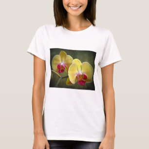 Camiseta Orquídeas-Mama amarelas - Phalaenopse