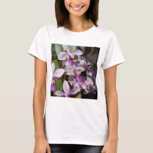 Camiseta orquídeas miniatura