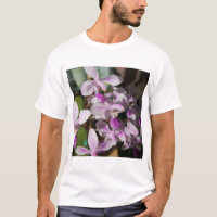 orquídeas miniatura