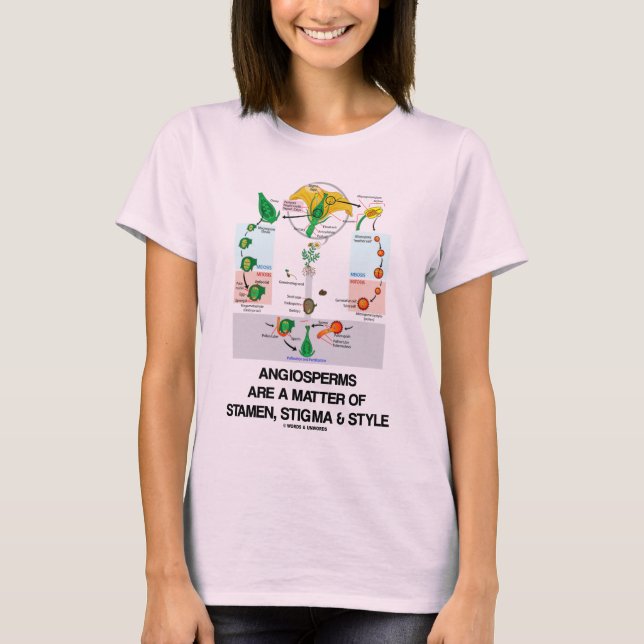 Camiseta Os angiospermas são uma matéria do estilo do (Frente)