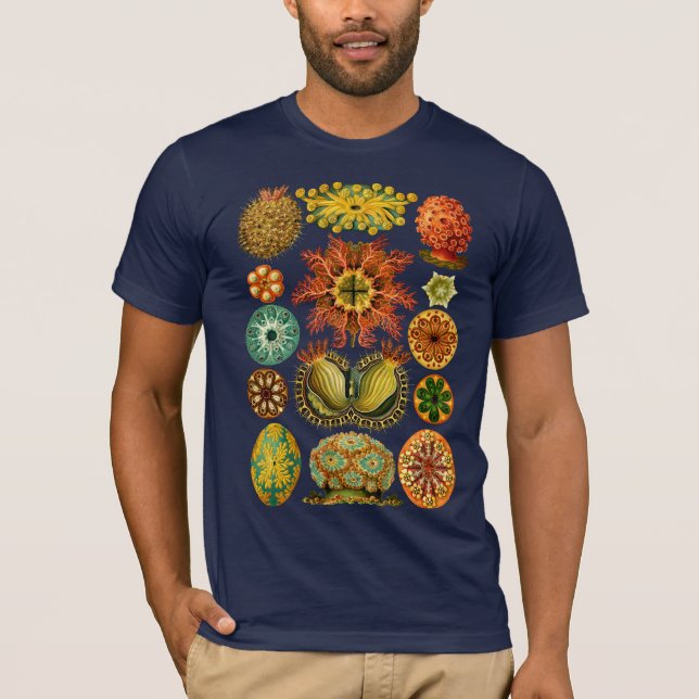 Camiseta Os ASCIDIACEA de HAECKEL - T-shirt (Frente)