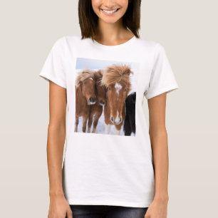 Camiseta Os cavalos islandêses nuzzle, Islândia