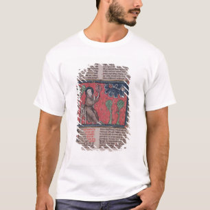 Camiseta Os céus, 'do rerum de De Natura