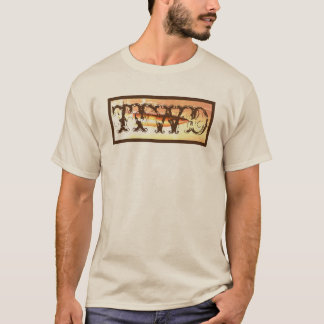 Camiseta os círculos vão em volta de TIWD