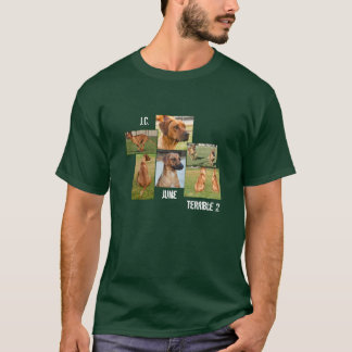 Camiseta Os dois terríveis