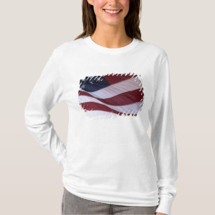 Camiseta Os EUA embandeiram, North Carolina, EUA