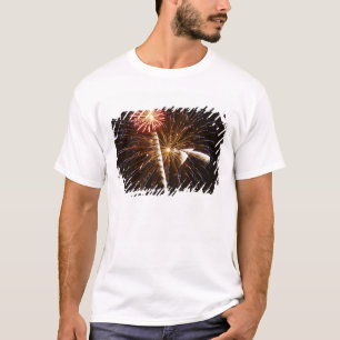 Camiseta Os fogos-de-artifício indicam em Savannah River 2