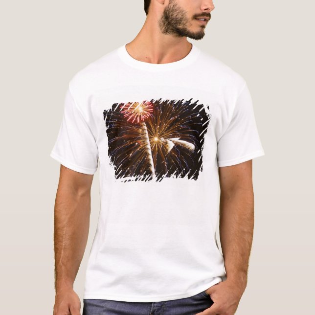 Camiseta Os fogos-de-artifício indicam em Savannah River 2 (Frente)