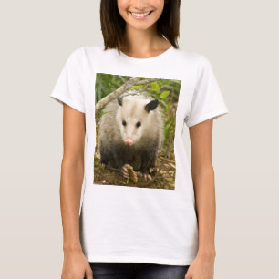 Camiseta Os gambás são bonito - gambá Didelphimorphia