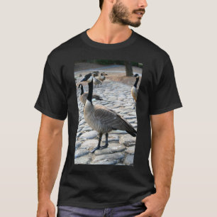 Camiseta Os gansos canadenses aproximam o t-shirt do lago