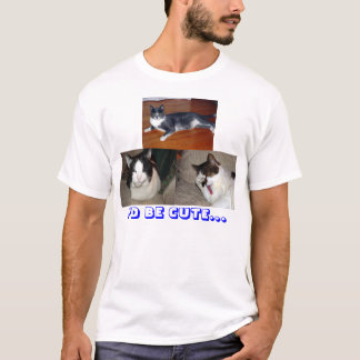 Camiseta Os gatos os mais bonitos do mundo