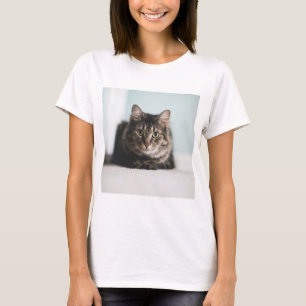 Camiseta Os Gatos São Os Melhores 55