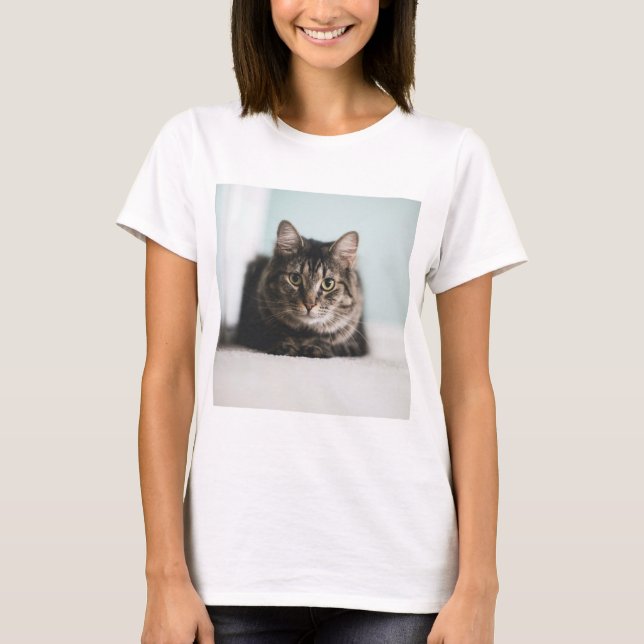 Camiseta Os Gatos São Os Melhores 55 (Frente)